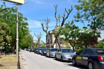 Прикрепленное изображение: 158.JPG